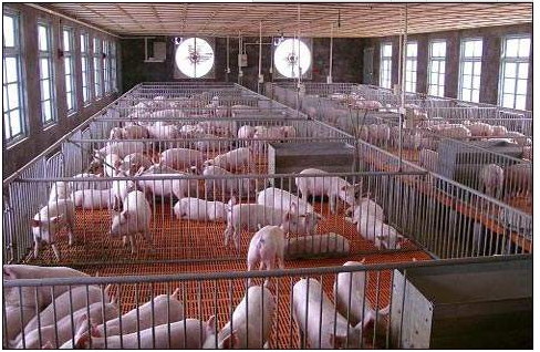 深圳市長隆科技有限公司