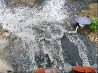 氨氮濃度超地表水Ⅲ類標準15.3倍，廣東茂名被公開通報！